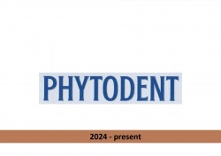 Toothpaste logo evolution Phytodent MAGDIS GRUPA